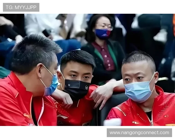 关键赛事激战正酣多队争冠格局生变球迷热议新赛季走势与明星表现引关注