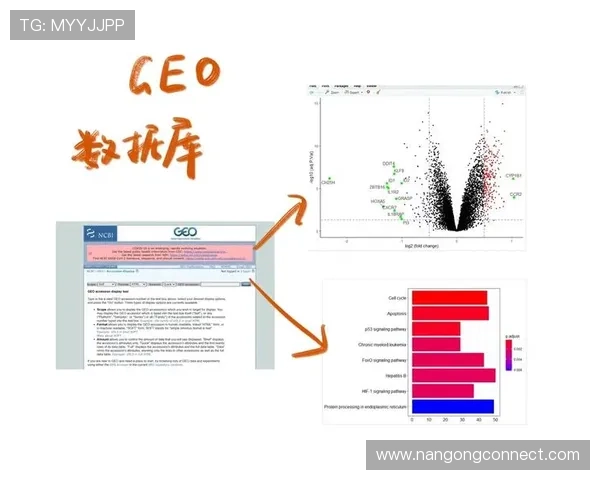 基于数据挖掘的竞技体育技术表现分析与优化研究
